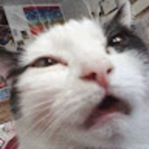 Meet your Posher, Cynthia